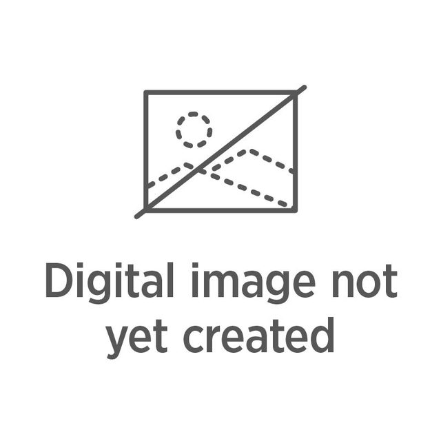 花叶鹅掌柴